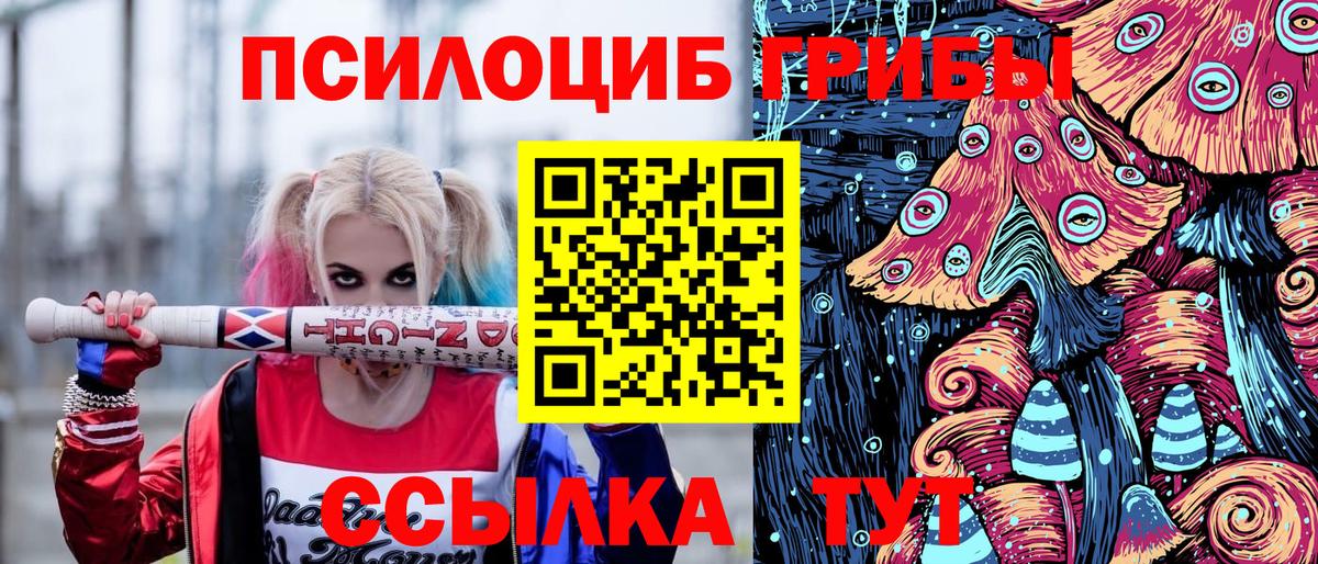 Галлюциногенные грибы Psilocybine cubensis  Галлюциногенные грибы Cubensis  Вход с VPN  Нововоронеж 