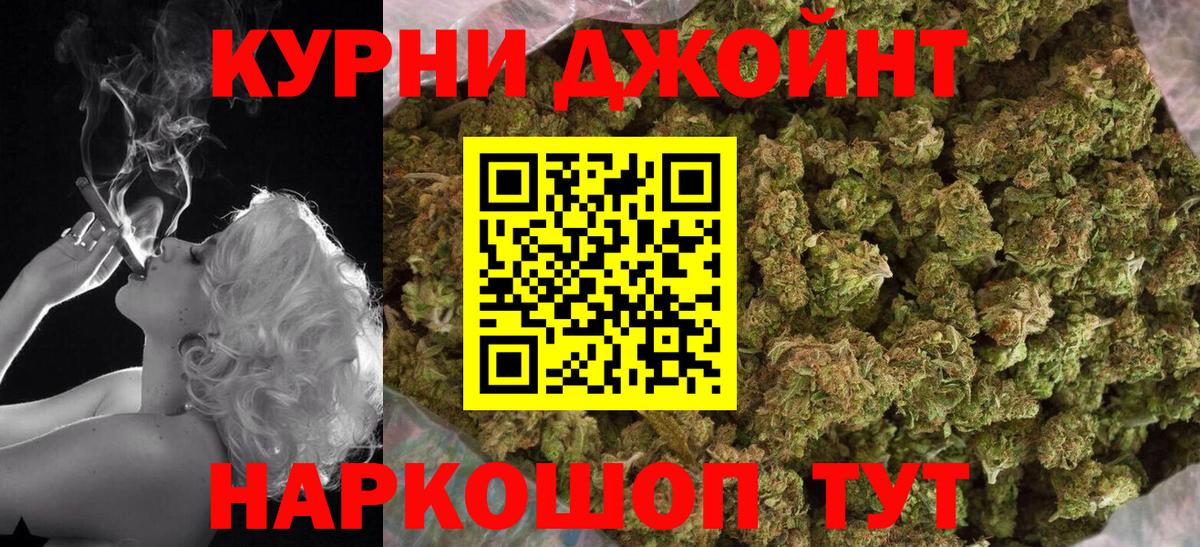 Каннабис OG Kush Нововоронеж